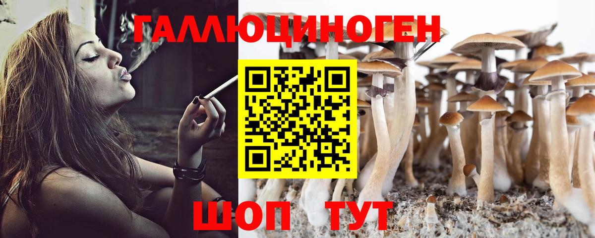 Псилоцибиновые грибы мухоморы Усолье-Сибирское