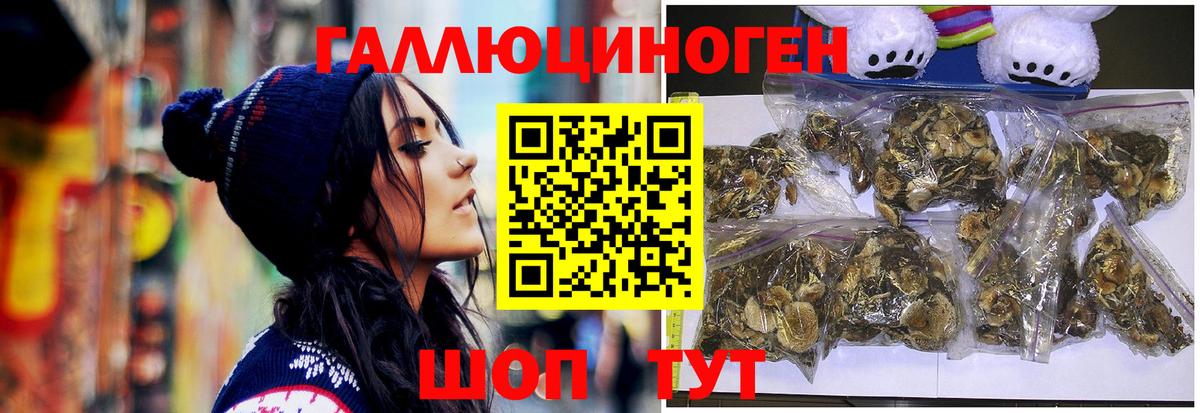 Усолье-Сибирское  купить   Вход с VPN  Галлюциногенные грибы Cubensis 